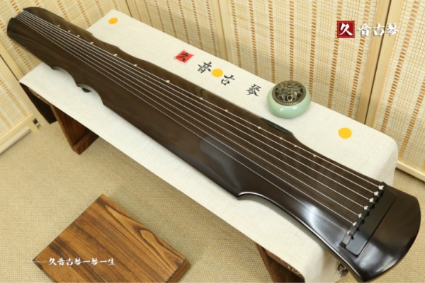 海南藏族自治州初级演奏古琴【伏羲式】
