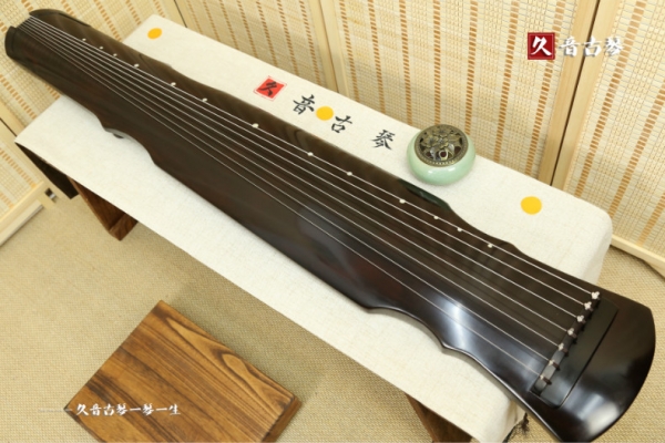 海南藏族自治州初级演奏古琴【灵机式】