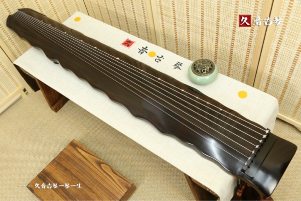 海南藏族自治州初级演奏古琴【落霞式】
