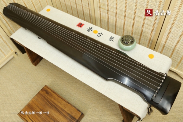海南藏族自治州初级演奏古琴【仲尼式】