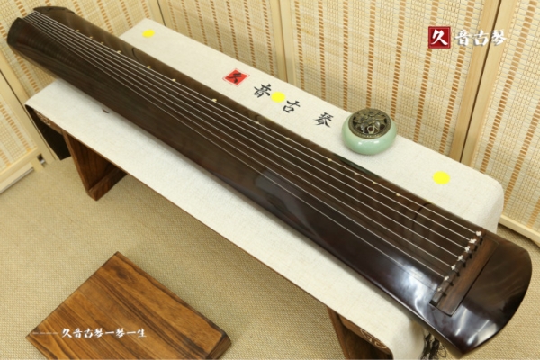 海南藏族自治州精品演奏古琴【梁鸾式】